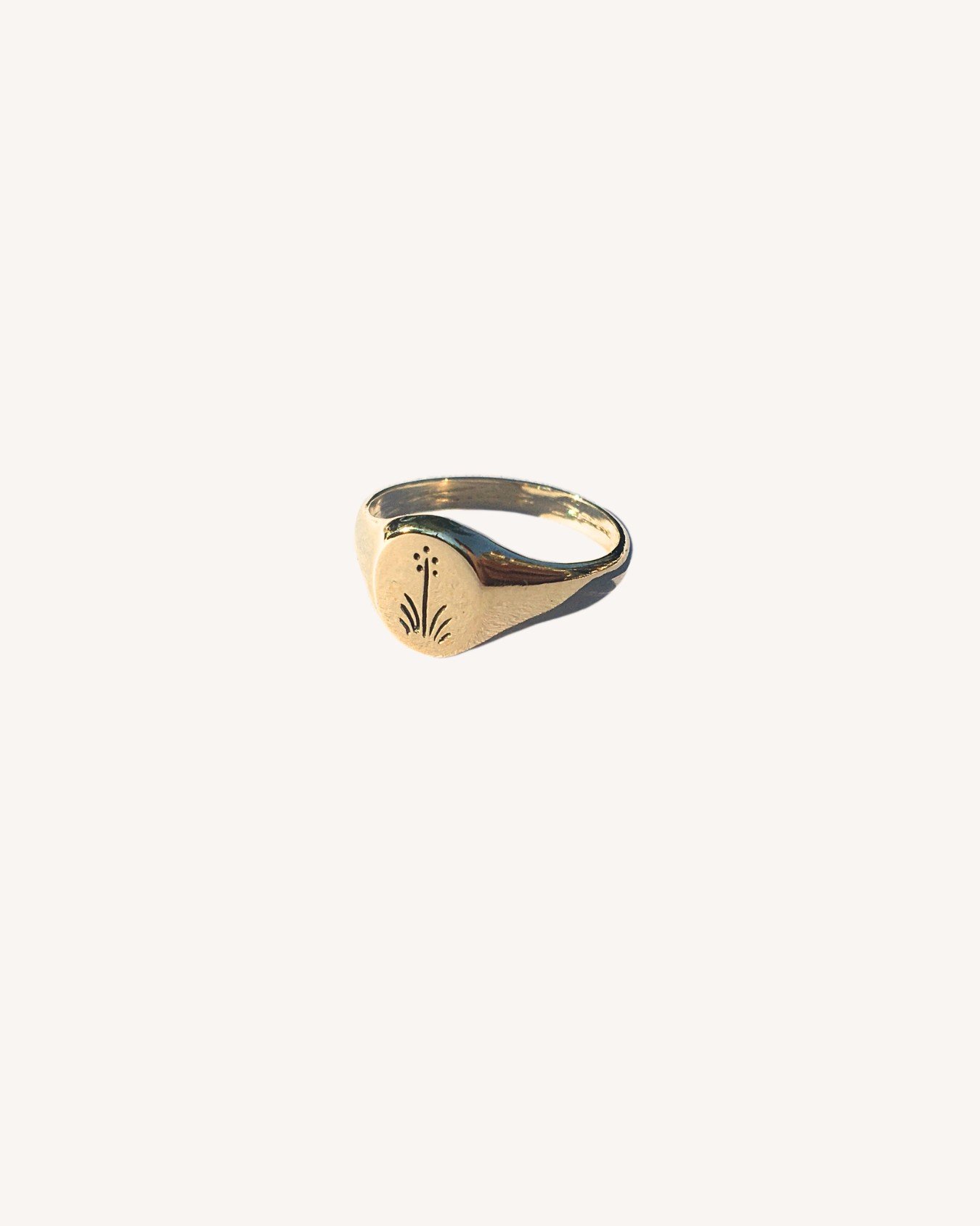 Yucca Signet Ring — Sophie Kissin Jewelry